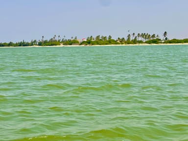 Plage du Sine Saloum